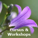 Cursus en Workshops